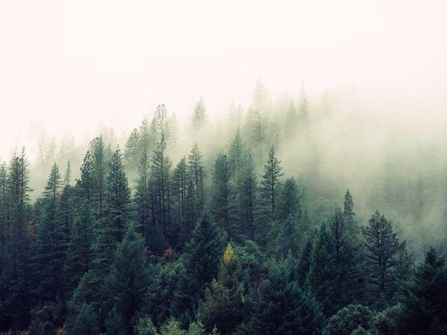 Image uploaded by Mohammed Ehigiator